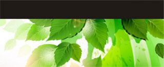 “奇妙有機(jī)硅”探索中心